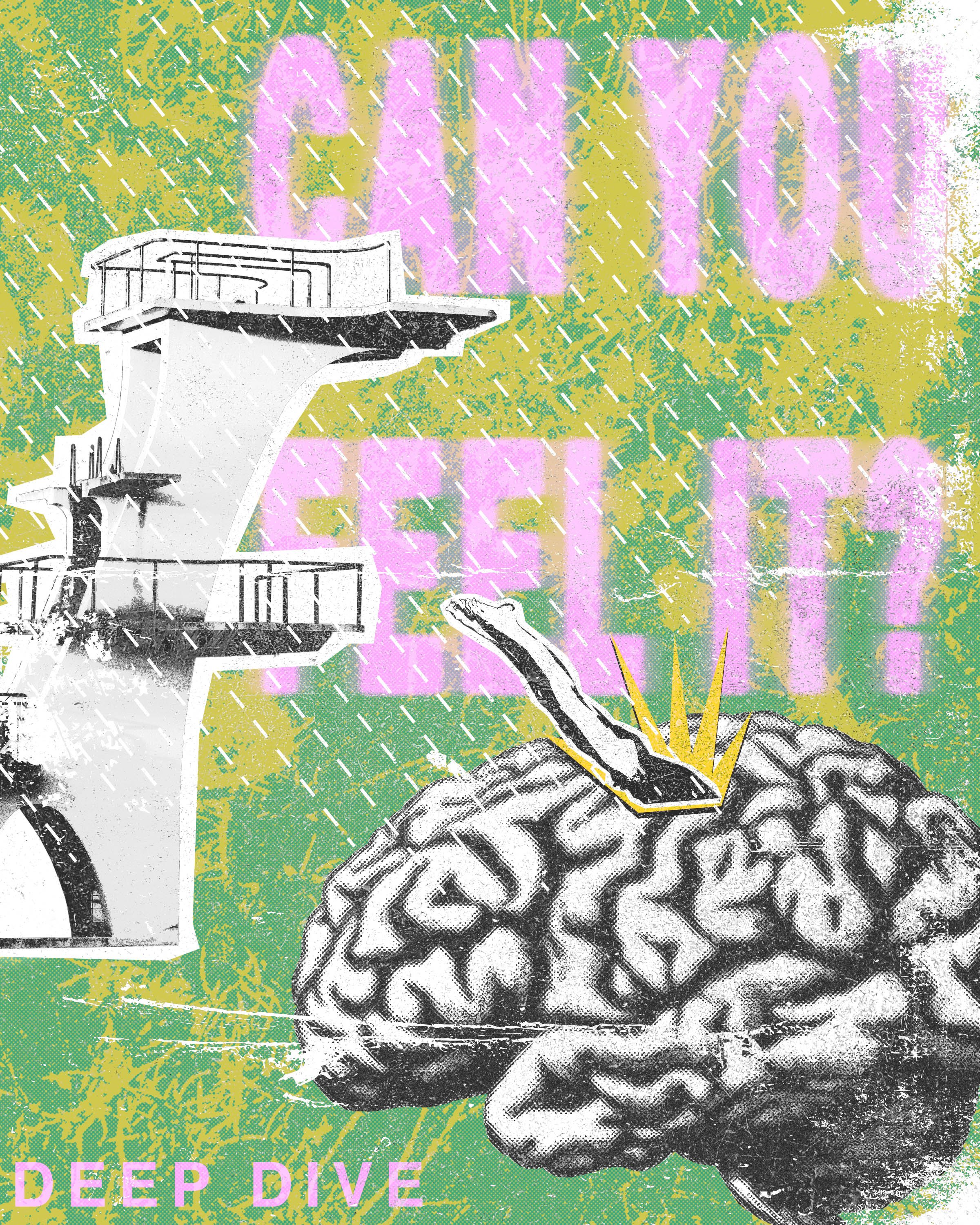  GRAPHIC BY HALEY PETRONE 