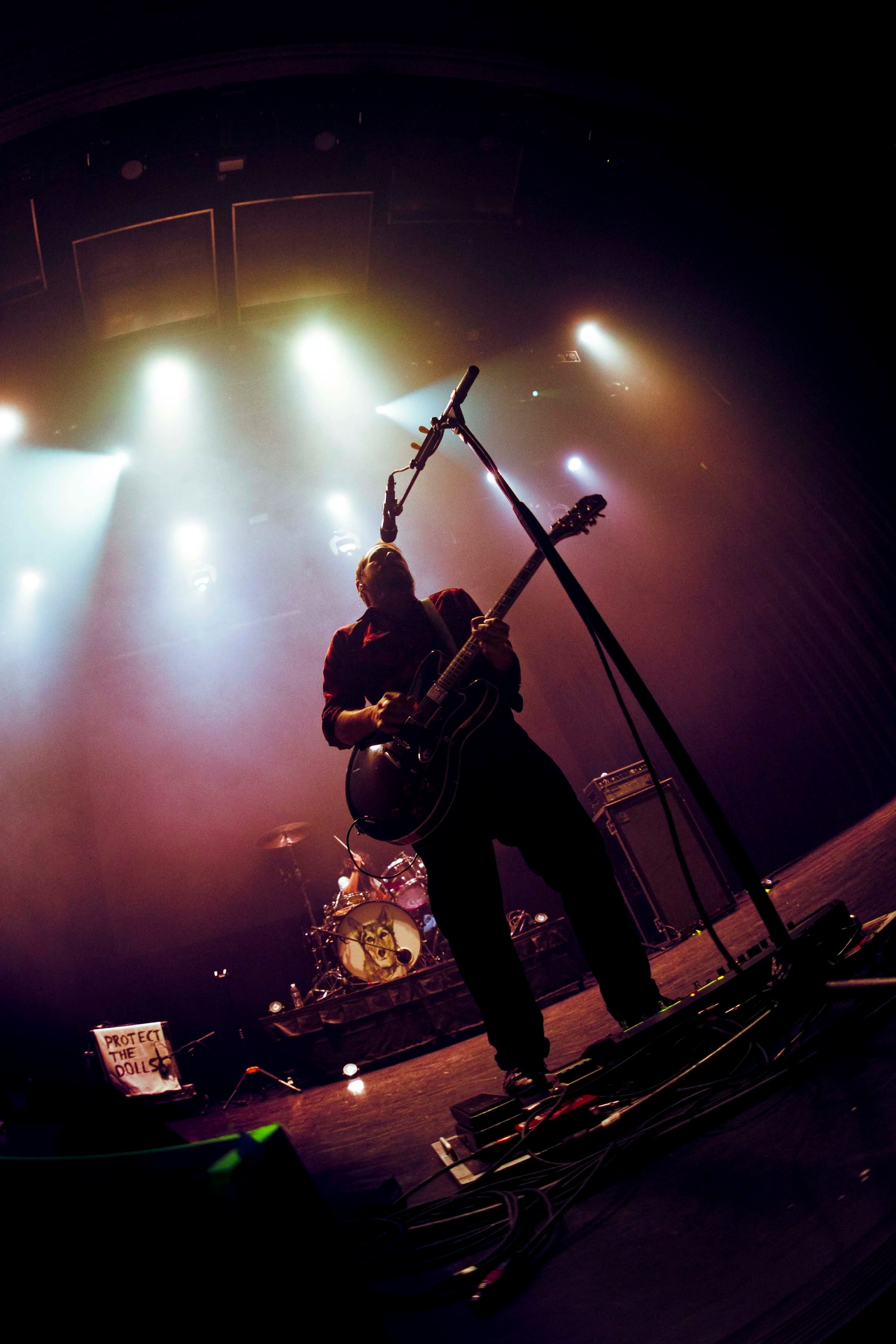  Photographs @haleypetronephoto 